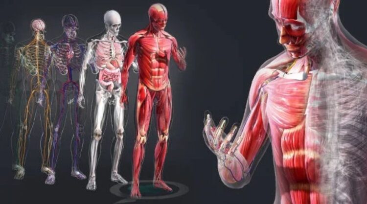 El cuerpo humano es una maravilla de la naturaleza
