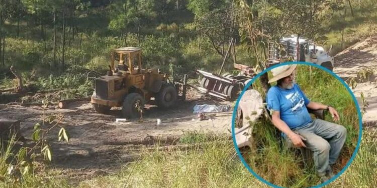 Muere persona de la tercera edad tras caerle tronco en Olancho