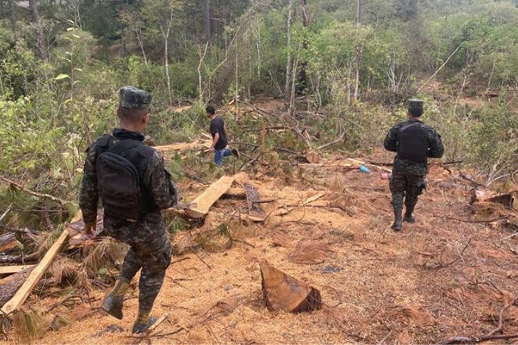 MP emprende acciones para frenar daños ambientales