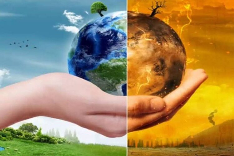 ¿Cuáles son las cinco causas de la pérdida de biodiversidad?