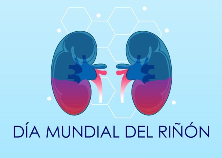 ¿Sabías que el 13 de marzo es el Día Mundial del Riñón?