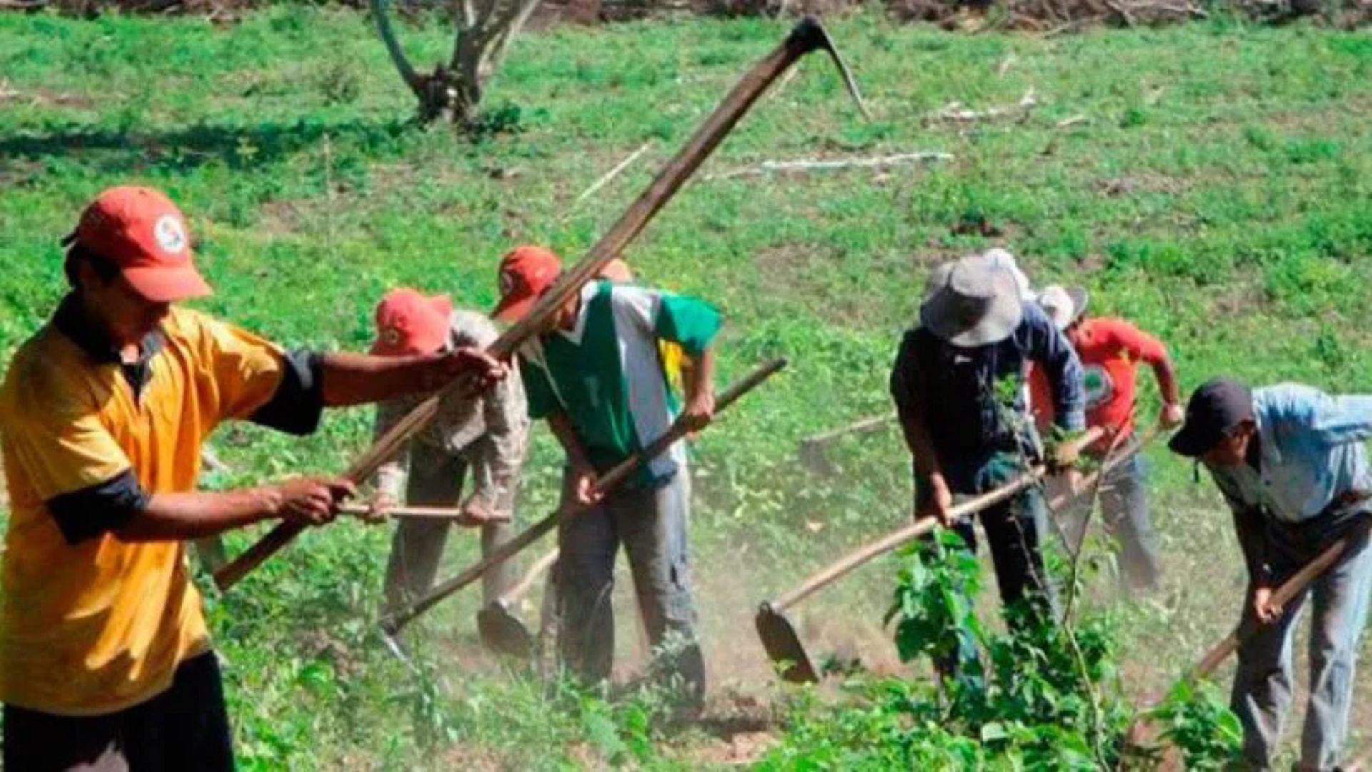 Agricultores anuncian movilización por falta de apoyo del gobierno